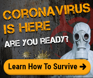 Pandemic Preparedness –  Beatles, Toilet Paper Alternative, Hand Sanitizer  for Virus Protection of Corona Virus
